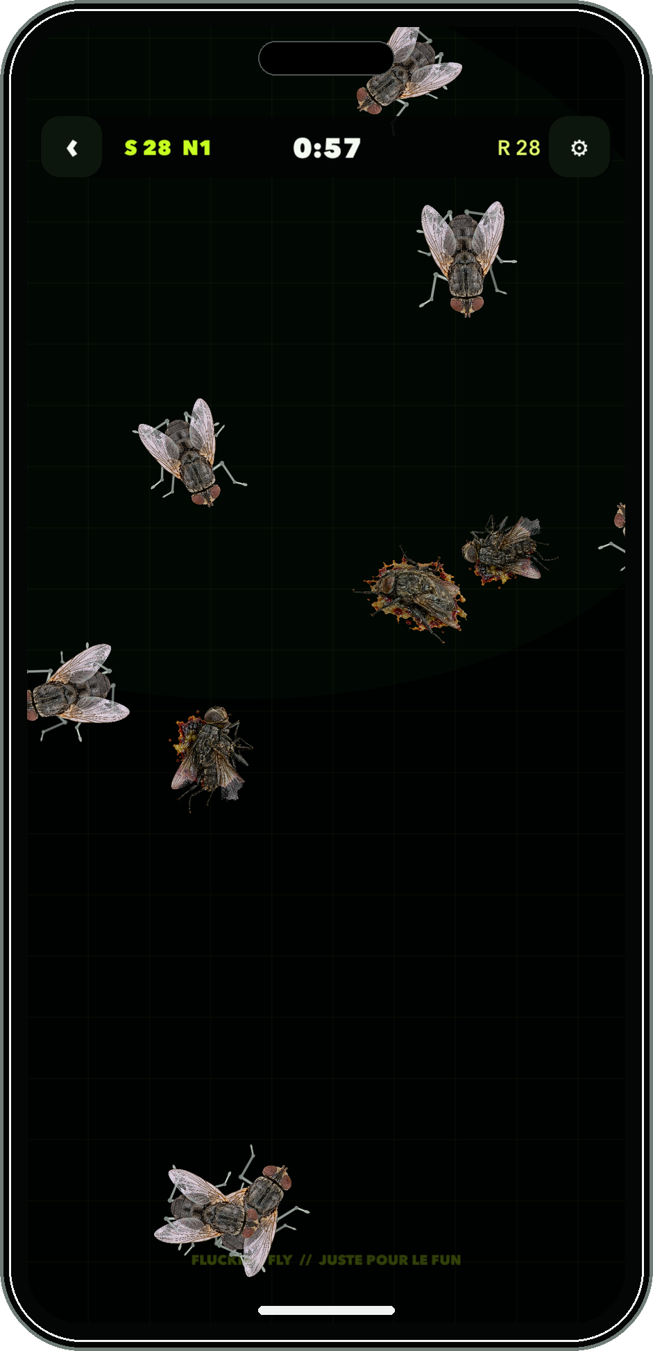 Mode arcade français de Flucking Fly