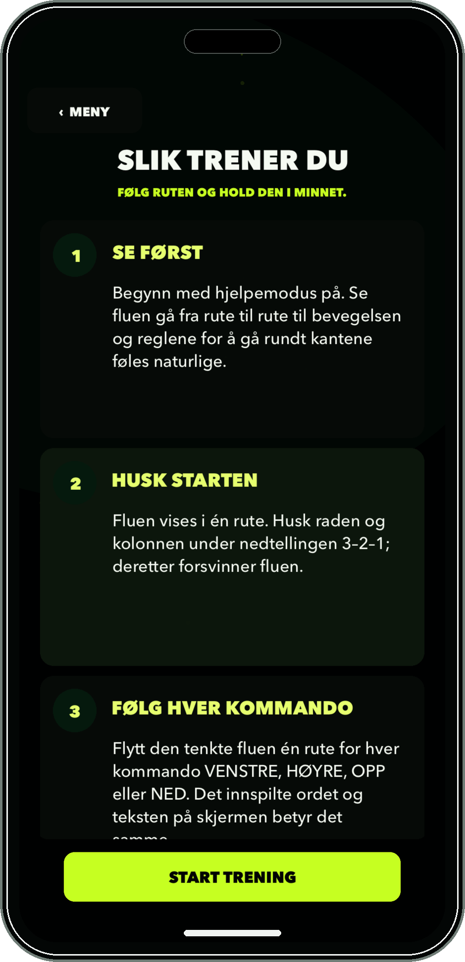 Norsk instruksjonsskjerm i Flucking Fly