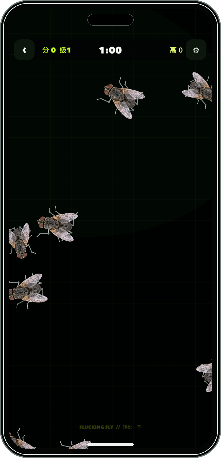 Flucking Fly 简体中文街机玩法